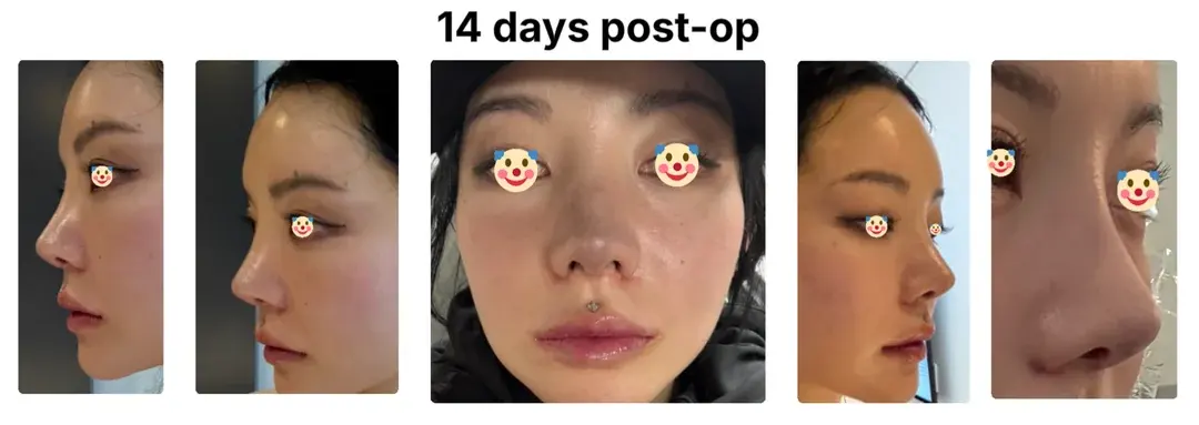 MIHO Plastic Surgery — 2