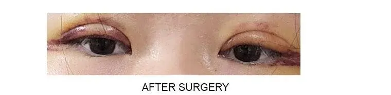 Eight Plastic Surgery Clinic — 1
